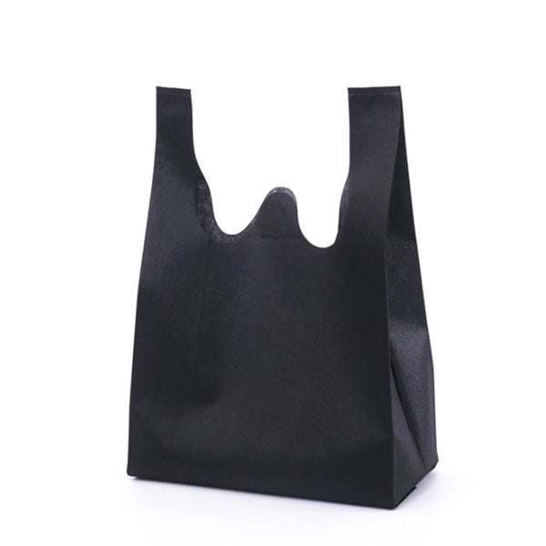 Hand-Held Canvas Bag