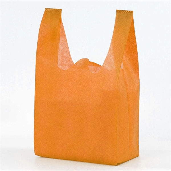 Hand-Held Canvas Bag