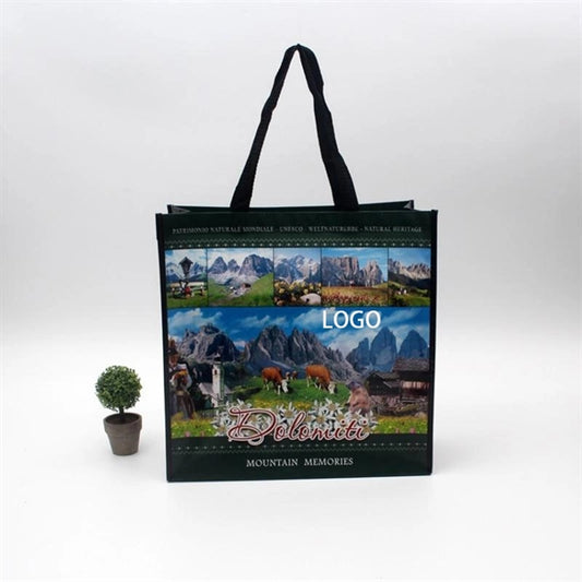 Laminated Non-woven Bag