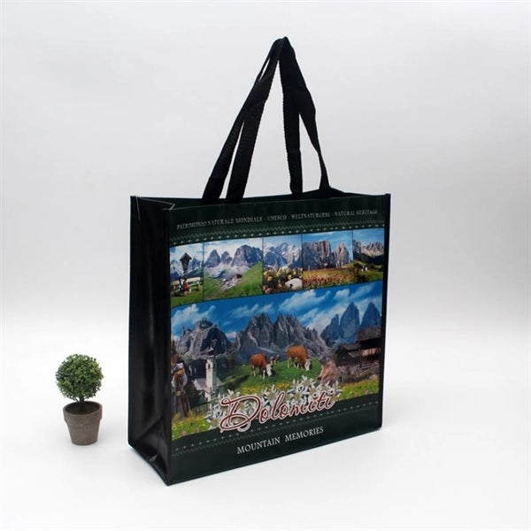 Laminated Non-woven Bag