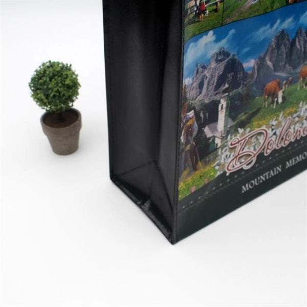 Laminated Non-woven Bag