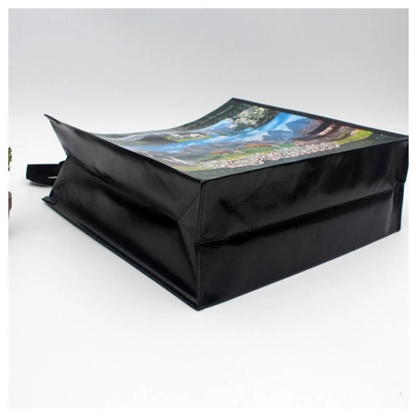 Laminated Non-woven Bag