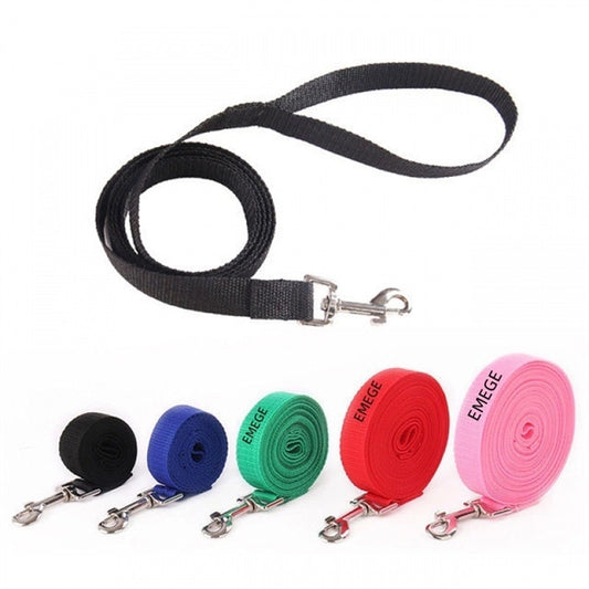 Puppy Training Leash
