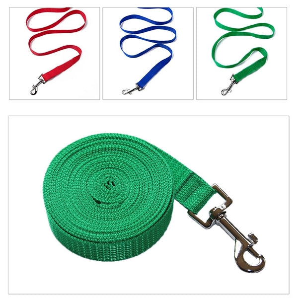 Puppy Training Leash