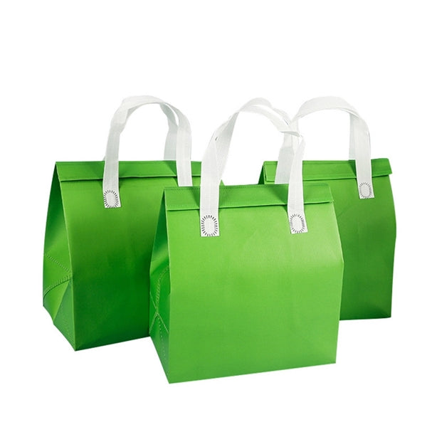 Insulated Lunch Tote Bag