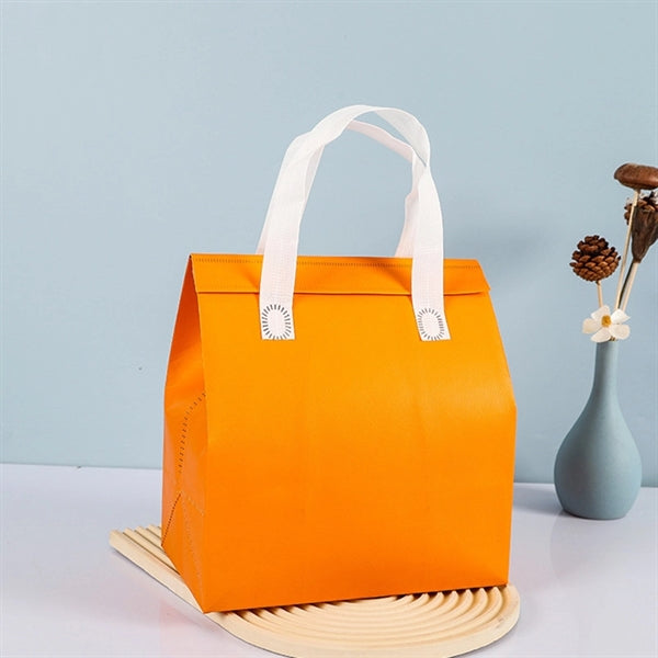 Insulated Lunch Tote Bag