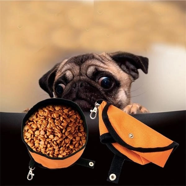 Collapsible Pet Bowl