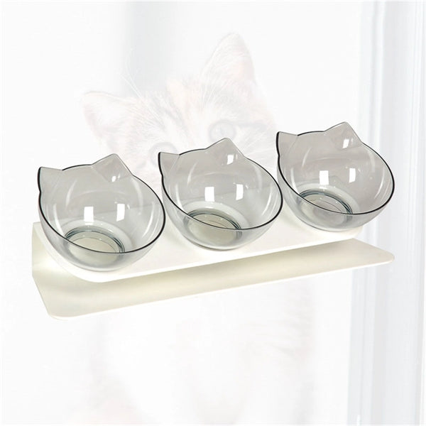Pet Food Bowls Elevated Tilted