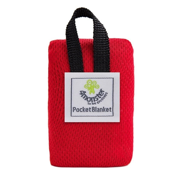 Pocket nylon picnic mat