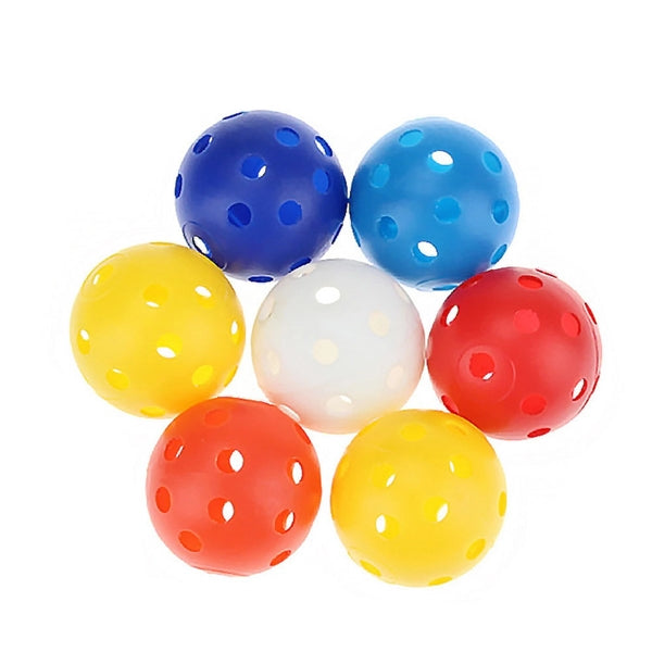 Portable Pickleball Hole Ball