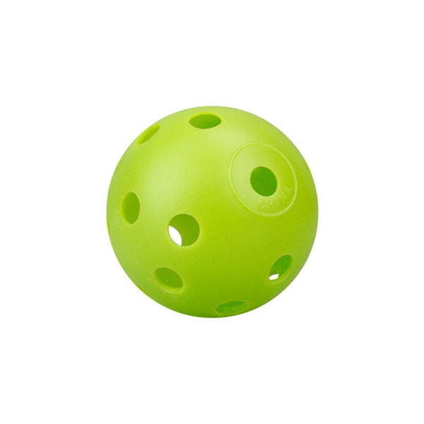 Portable Pickleball Hole Ball