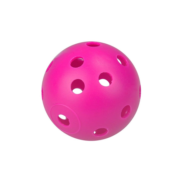 Portable Pickleball Hole Ball