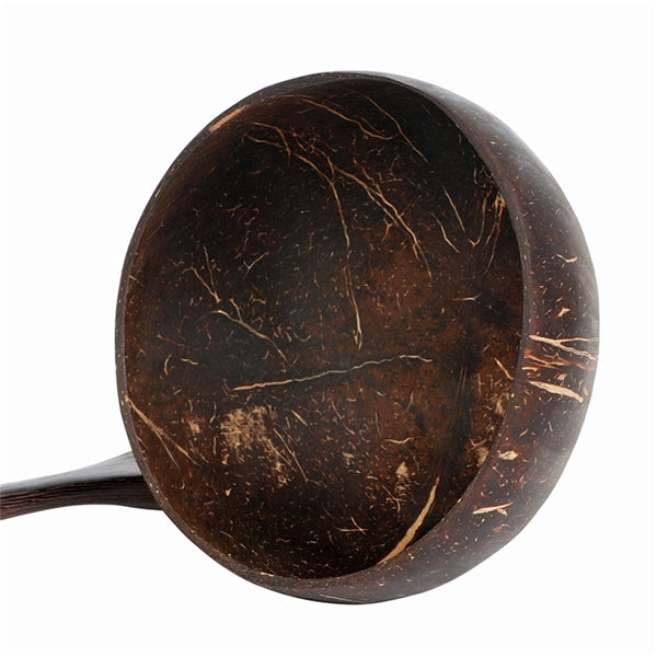 Coconut Bowls and Wooden Spoon Set