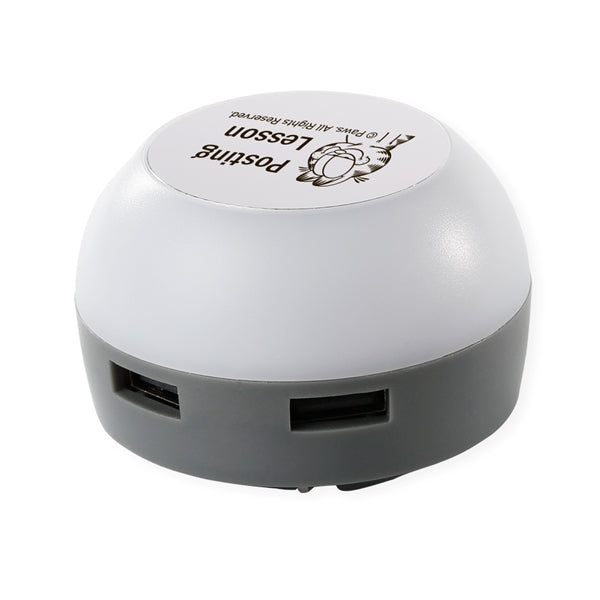 Ludlam ETL 2-Port Wall Charger Night Light