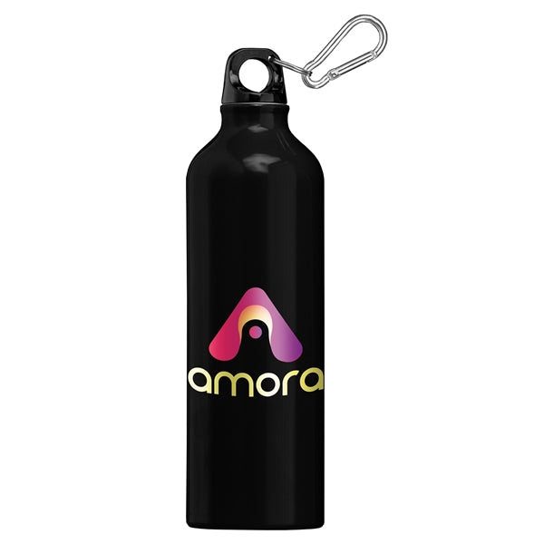 Portland Plus - 25 oz. Aluminum Water Bottle - ColorJet