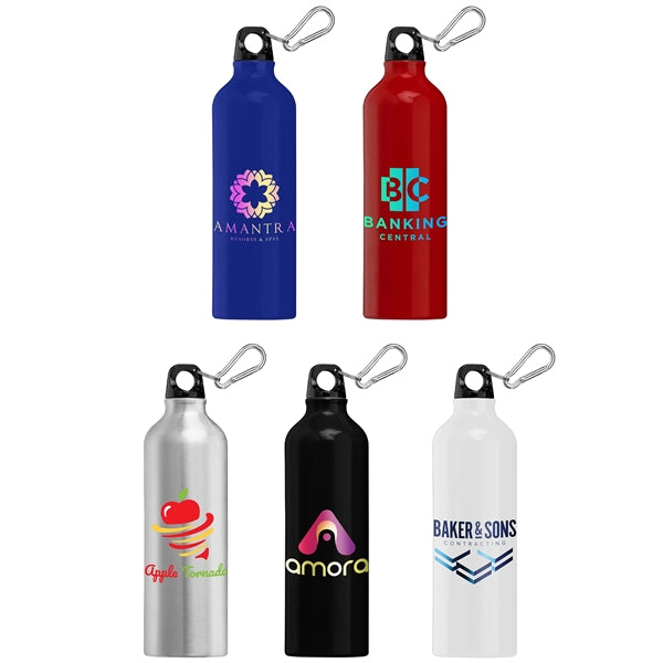 Portland Plus - 25 oz. Aluminum Water Bottle - ColorJet