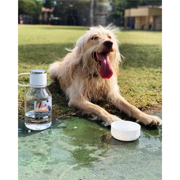 50 oz Asobu Dog Bowl Bottle Lite