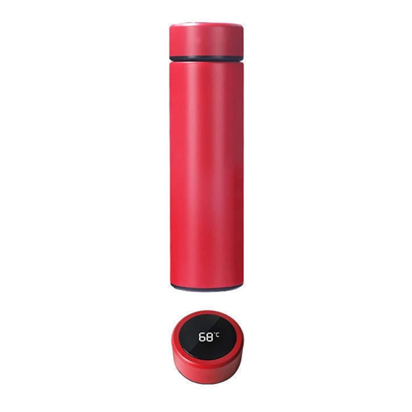 Digital Temperature Control Water Bottle