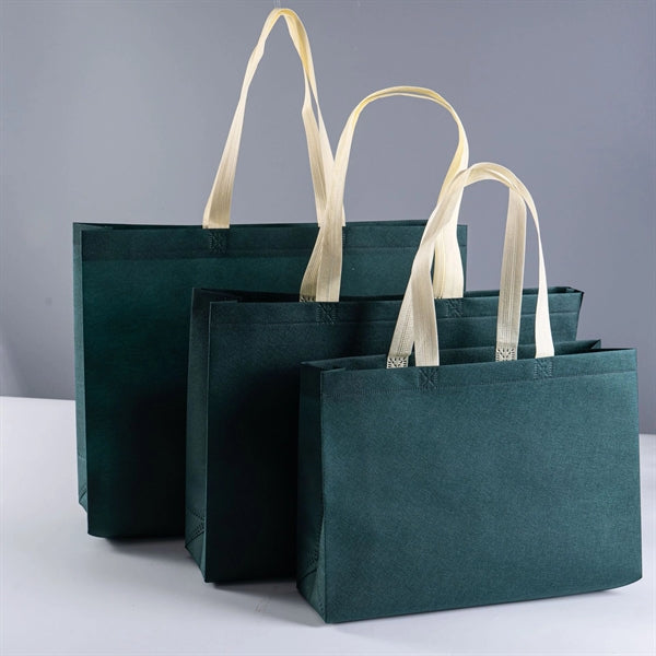 3pcs Non woven shopping bag