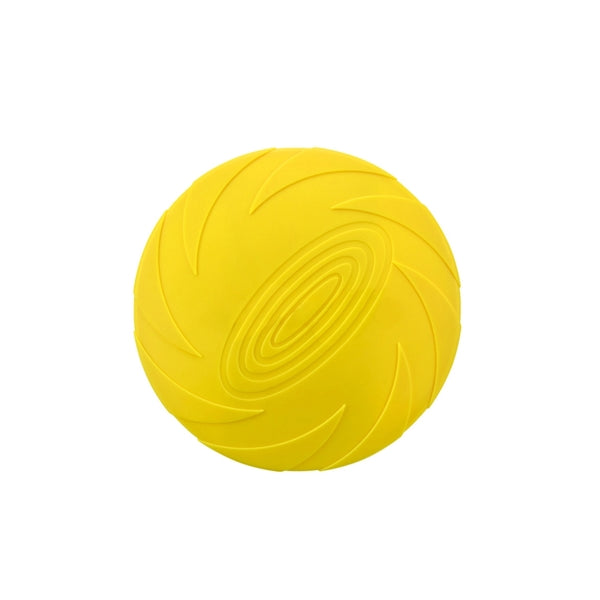 Frisbee dog