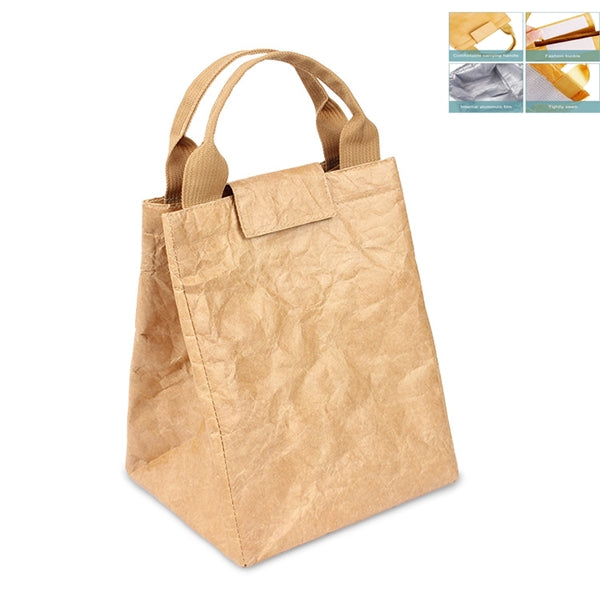 Portable Insulated Lunch Bag