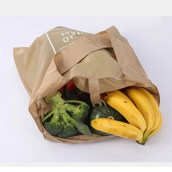 Eco Friendly Shopping Bag