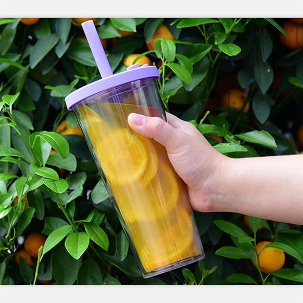 24OZ Clear Tumbler with Straws and Lid /Travel Mug Cup