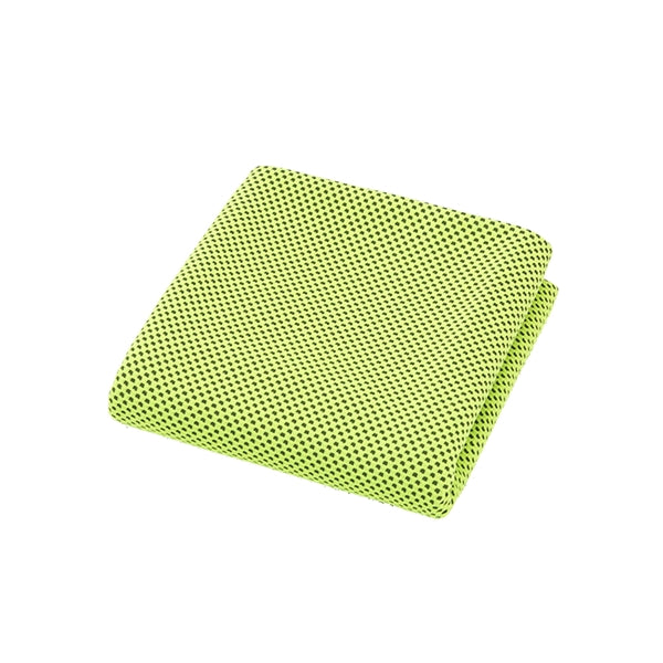 Premium Cooling Sport Towel With Case