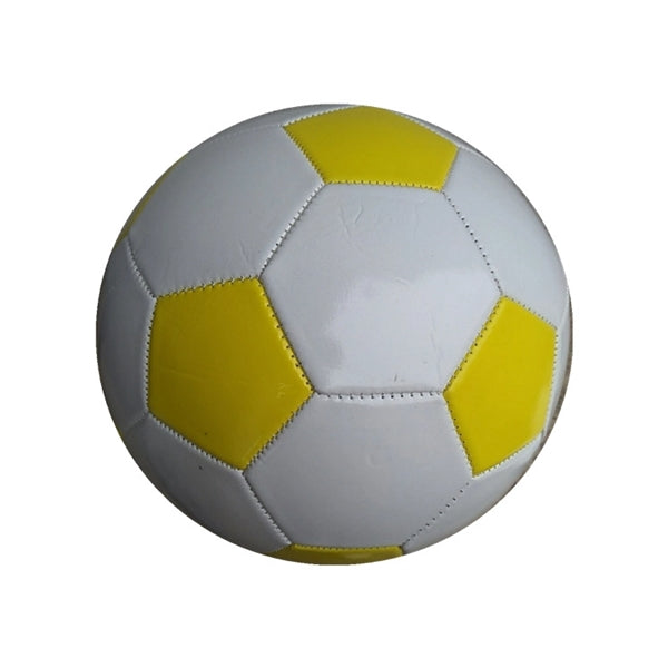 Soccer Training Ball