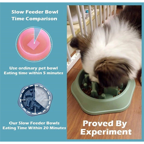 Dog Slow Feeder Bowl