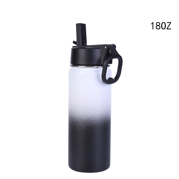 18oz Water Bottle with Straw Lid Vacuum Insulated