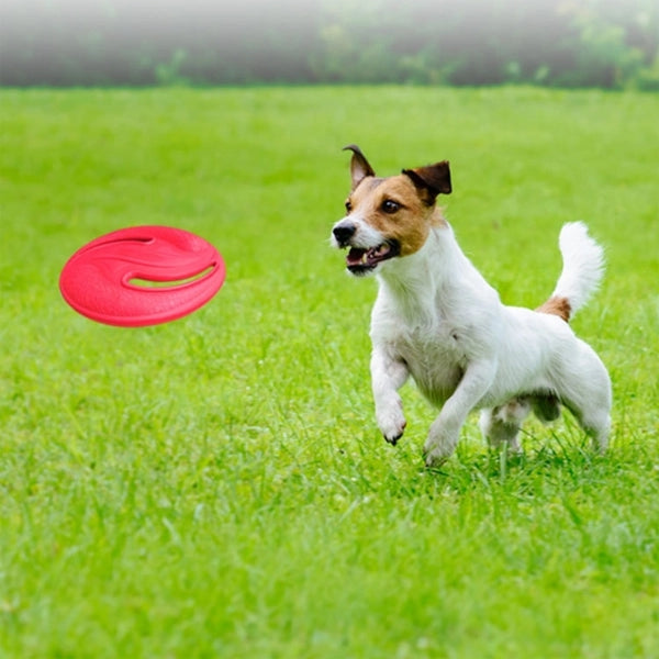 Soft EVA Dog Flying Disc Toy Saucers Discs