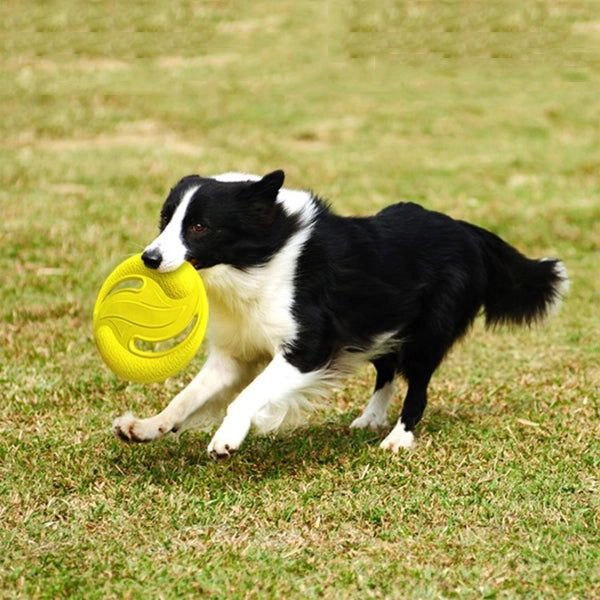 Soft EVA Dog Flying Disc Toy Saucers Discs