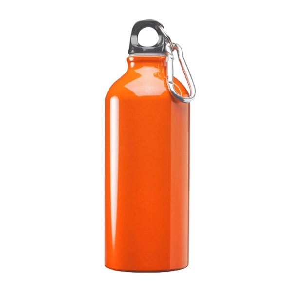 Aluminum Water Bottle with Carabiner, 20 oz.