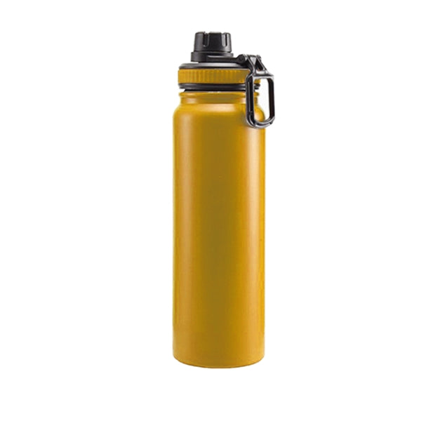 27 Oz. Stainless Steel Vacuum Insulated Bottle