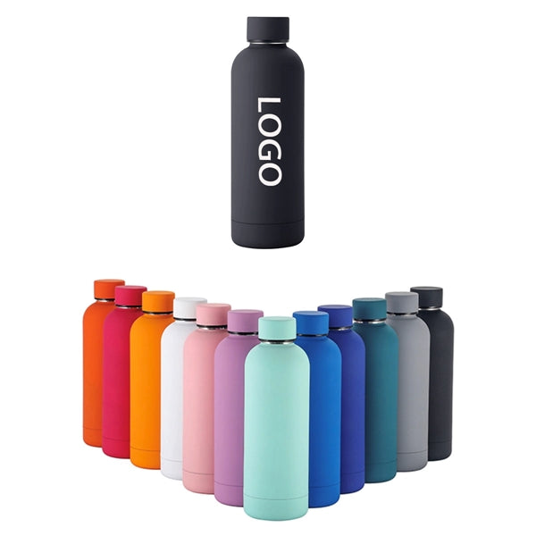17oz Stainless Steel Water Bottle