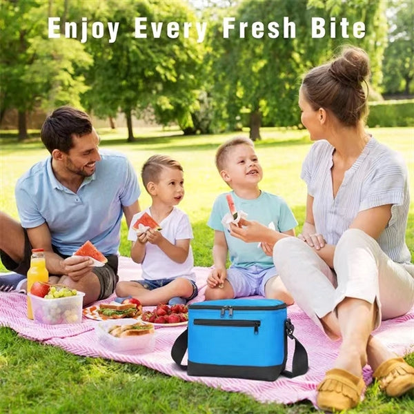 Insulated Lunch Cooler Bag