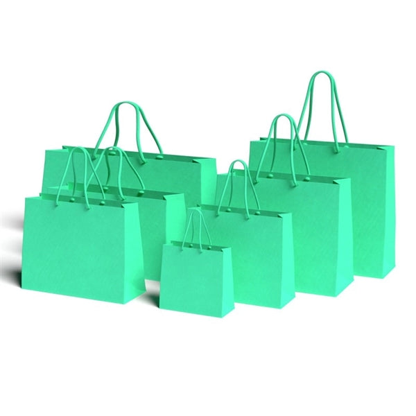 Gift Paper Bags