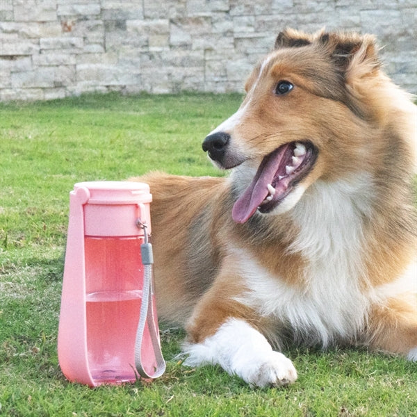 Plastic Portable Foldable Pet Water Bottle for Outdoor Use