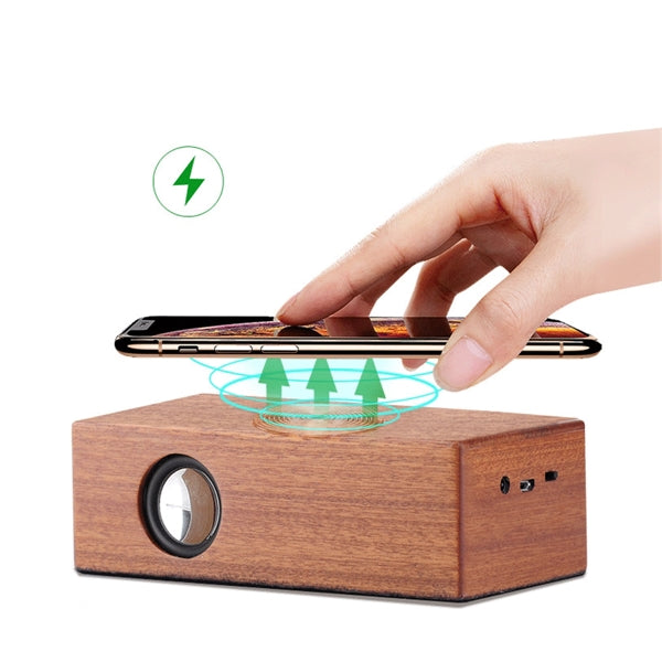 Wooden Induction Speaker