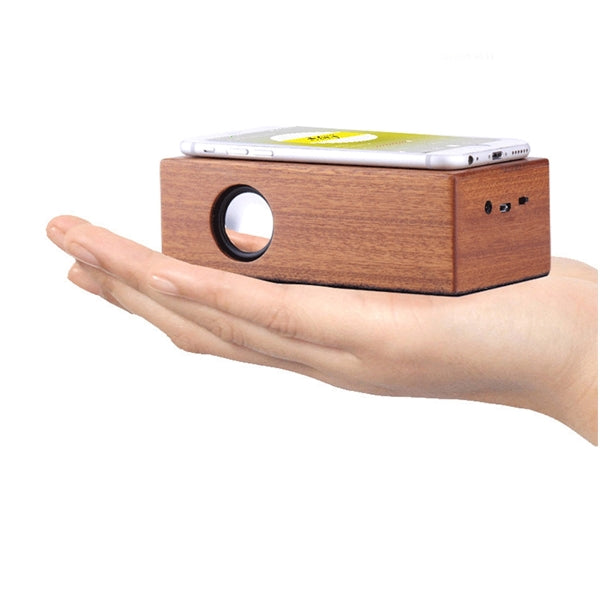 Wooden Induction Speaker