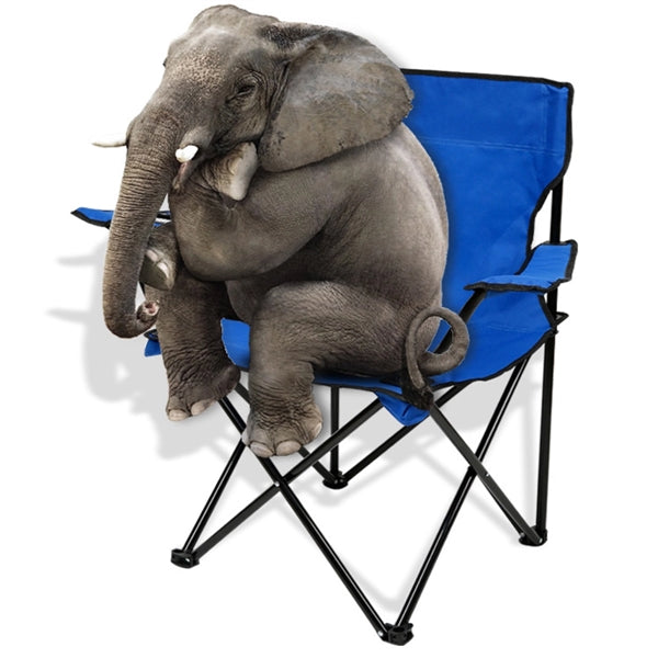 286 LBS Bearing Foldable Chair