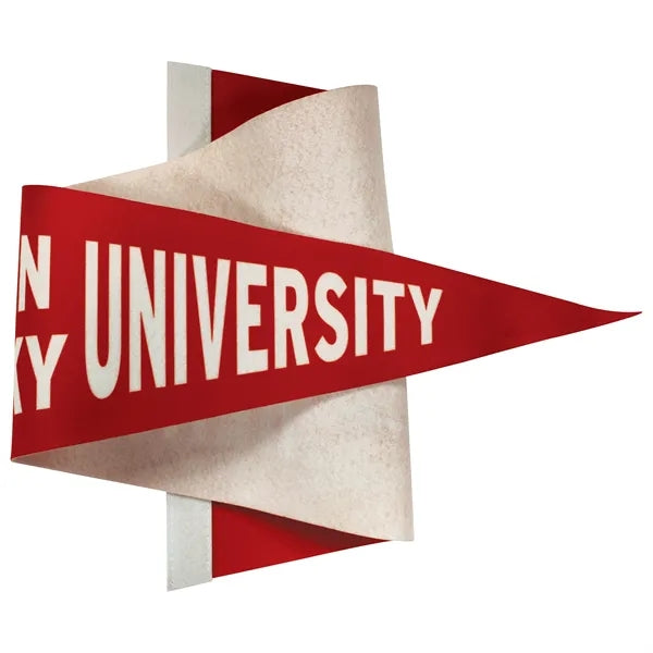 4" x 10" Custom Printed Soft Felt Pennant