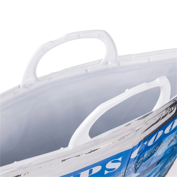 Insulated Frozen Bag