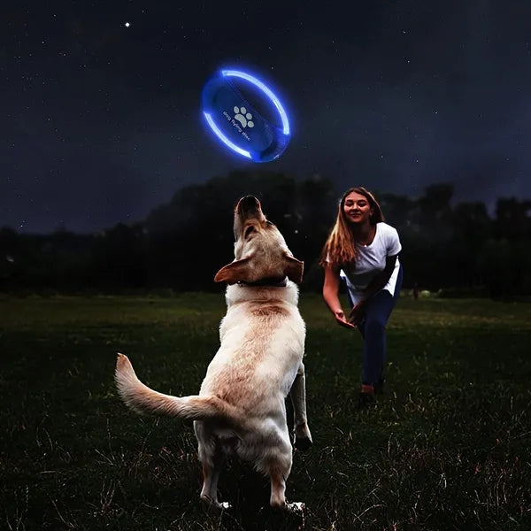 LED Flying Disc Dog Sport Toy