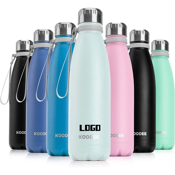 17 oz. Stainless Steel Bottle