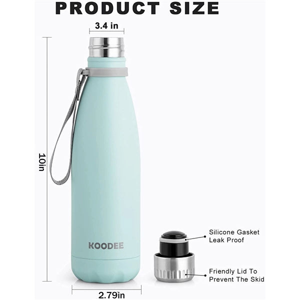 17 oz. Stainless Steel Bottle