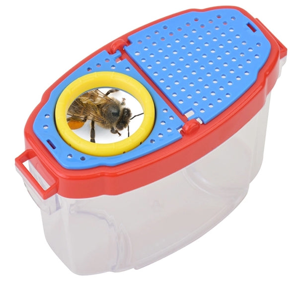 Transparent Insect Observation Box