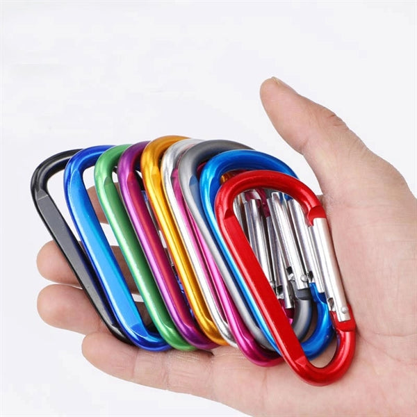 Carabiner Key Chain