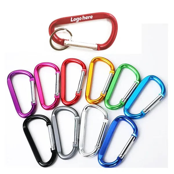 Carabiner Key Chain